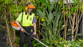 Hedge Trimming & Pruning