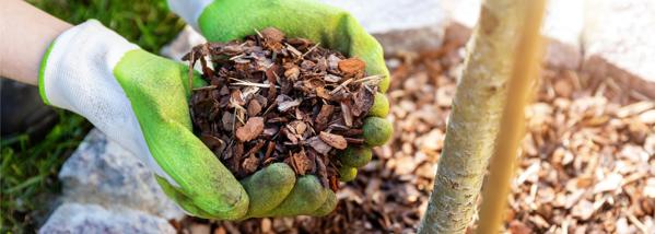 Mulch and Water Management - Lawn and Garden Tips