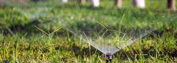 Water your Lawn and Garden - Lawn and Garden Tips