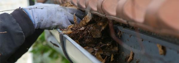 Gutter cleaning services